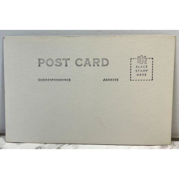 Rialto Beach Mora WA RPPC Postcard Vintage Woman with Baby Seal Snapshot - Picture 3 of 6